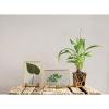 imageCreative CoOp Glass ampamp Brass Photo Frames with Stands Set of 2 StylesStanding