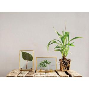 imageCreative CoOp Glass ampamp Brass Photo Frames with Stands Set of 2 StylesStanding