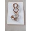 imageCreative CoOp Acacia Wood and Marble Chain with 8 Links