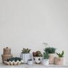 imageCreative CoOp Coastal Decorative Magnesia Clamshell Natural