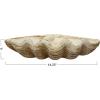 imageCreative CoOp Coastal Decorative Magnesia Clamshell Natural