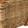 imageCreative CoOp Decorative Rattan Hanging Natural Basket