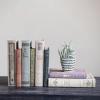 imageCreative CoOp MDF ampamp Canvas Book Storage Boxes Set of 2 New England Landscapes