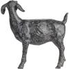 imageCreative CoOp Resin Standing Goat Accent Dcor with Cast Iron Finish Black914L x 3W x 914H