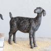 imageCreative CoOp Resin Standing Goat Accent Dcor with Cast Iron Finish Black914L x 3W x 914H