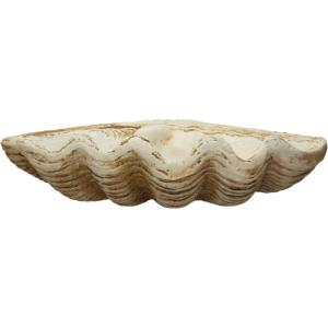 imageCreative CoOp Coastal Decorative Magnesia Clamshell Natural