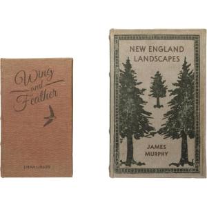imageCreative CoOp MDF ampamp Canvas Book Storage Boxes Set of 2 New England Landscapes
