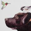 imageCreative CoOp Birds ampamp Dog Framed Wall Dcor