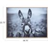 imageCreative CoOp Black ampamp White Donkey on Canvas Framed Wall Dcor