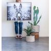 imageCreative CoOp Black ampamp White Donkey on Canvas Framed Wall Dcor