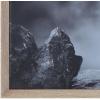 imageCreative CoOp Black ampamp White Donkey on Canvas Framed Wall Dcor