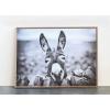 imageCreative CoOp Black ampamp White Donkey on Canvas Framed Wall Dcor