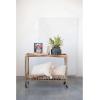 imageCreative CoOp Canvas Wall Dcor Portrait with Flowers in Vase Multicolor Set of 4