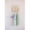 imageCreative CoOp Rattan 3 Wall Hooks 18quot L x 5quot W x 15quot H Natural