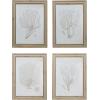 imageCreative CoOp Reclaimed Wood Framed Coral Print Wall Art Multicolor Set of 4
