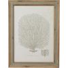 imageCreative CoOp Reclaimed Wood Framed Coral Print Wall Art Multicolor Set of 4