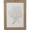 imageCreative CoOp Reclaimed Wood Framed Coral Print Wall Art Multicolor Set of 4