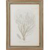 imageCreative CoOp Reclaimed Wood Framed Coral Print Wall Art Multicolor Set of 4