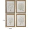 imageCreative CoOp Reclaimed Wood Framed Coral Print Wall Art Multicolor Set of 4