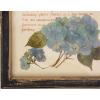 imageCreative CoOp Square Wood Framed Wall Dcor with Floral Images Set of 6 Designs