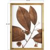 imageCreative CoOp Wood Framed Orange Botanical Dcor Set of 4 Designs Wall Decor