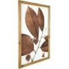 imageCreative CoOp Wood Framed Orange Botanical Dcor Set of 4 Designs Wall Decor