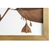 imageCreative CoOp Wood Framed Orange Botanical Dcor Set of 4 Designs Wall Decor