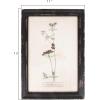 imageCreative CoOp Wood Framed Wall Plaques with Dried Flower Images Set of 16 Designs