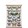 imageCreative CoOp Butterflies Burlap ampamp Wood Scroll Wall Dcor