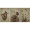 imageCreative CoOp Decorator Paper with Bird Prints Brown Set of 3