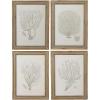 imageCreative CoOp Reclaimed Wood Framed Coral Print Wall Art Multicolor Set of 4