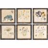 imageCreative CoOp Square Wood Framed Wall Dcor with Floral Images Set of 6 Designs