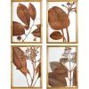 imageCreative CoOp Wood Framed Orange Botanical Dcor Set of 4 Designs Wall Decor