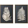 imageCreative CoOp Wood Framed Wall Dcor with Fern Leaf Set of 2 Styles