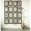 imageCreative CoOp Wood Framed Wall Plaques with Dried Flower Images Set of 16 Designs
