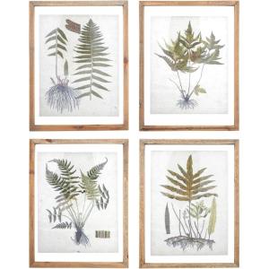 imageCreative CoOp Botanical Print Wood Framed Wall Art Portrait Green and Cream Set of 4