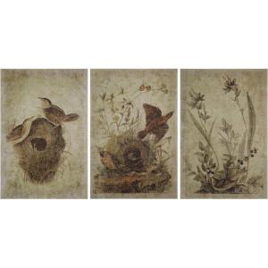 imageCreative CoOp Decorator Paper with Bird Prints Brown Set of 3