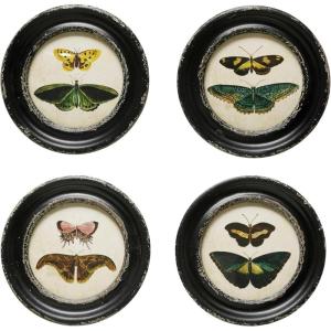 imageCreative CoOp Moth and Butterfly Framed Wall Decor Multicolor Set of 4