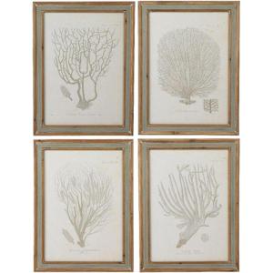 imageCreative CoOp Reclaimed Wood Framed Coral Print Wall Art Multicolor Set of 4