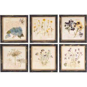 imageCreative CoOp Square Wood Framed Wall Dcor with Floral Images Set of 6 Designs