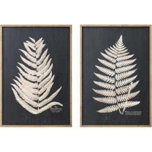 imageCreative CoOp Wood Framed Wall Dcor with Fern Leaf Set of 2 Styles