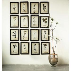 imageCreative CoOp Wood Framed Wall Plaques with Dried Flower Images Set of 16 Designs