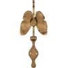 imageCreative CoOp Cast Metal Butterfly Door Knocker Antique Gold