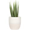 imageCreative CoOp Coastal Embossed Textured Stoneware Planter BlackMatte White