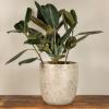 imageCreative CoOp Coastal Embossed Textured Stoneware Planter BlackMetallic Gold