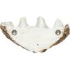 imageCreative CoOp Decorative Resin Clam Wall Bowl Beige