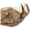 imageCreative CoOp Decorative Resin Clam Wall Bowl Beige