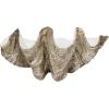 imageCreative CoOp Decorative Resin Clam Wall Bowl Beige