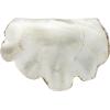 imageCreative CoOp Decorative Resin Clam Wall Bowl Beige