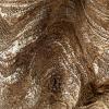imageCreative CoOp Decorative Resin Clam Wall Bowl Beige